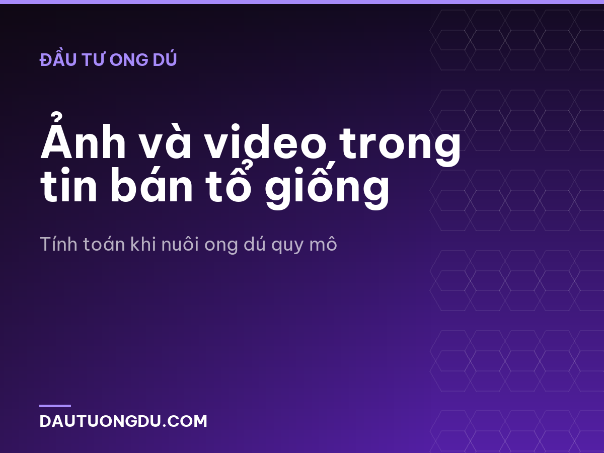Ảnh và video trong tin bán tổ giống