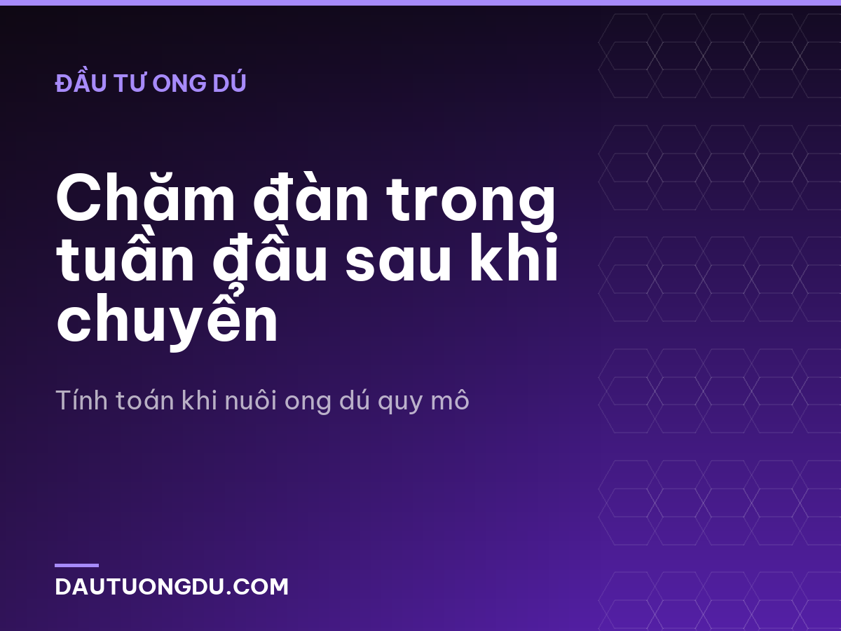 Chăm đàn trong tuần đầu sau khi chuyển