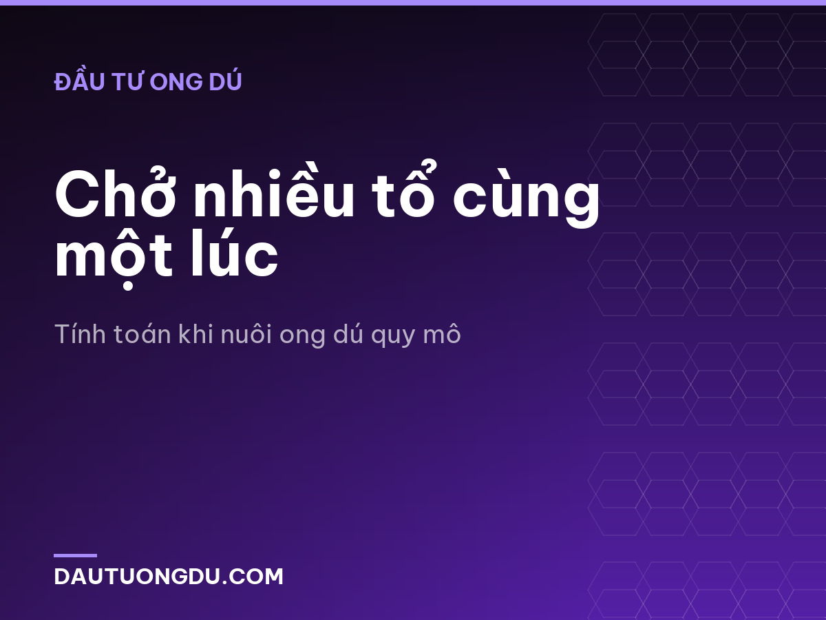 Chở nhiều tổ cùng một lúc