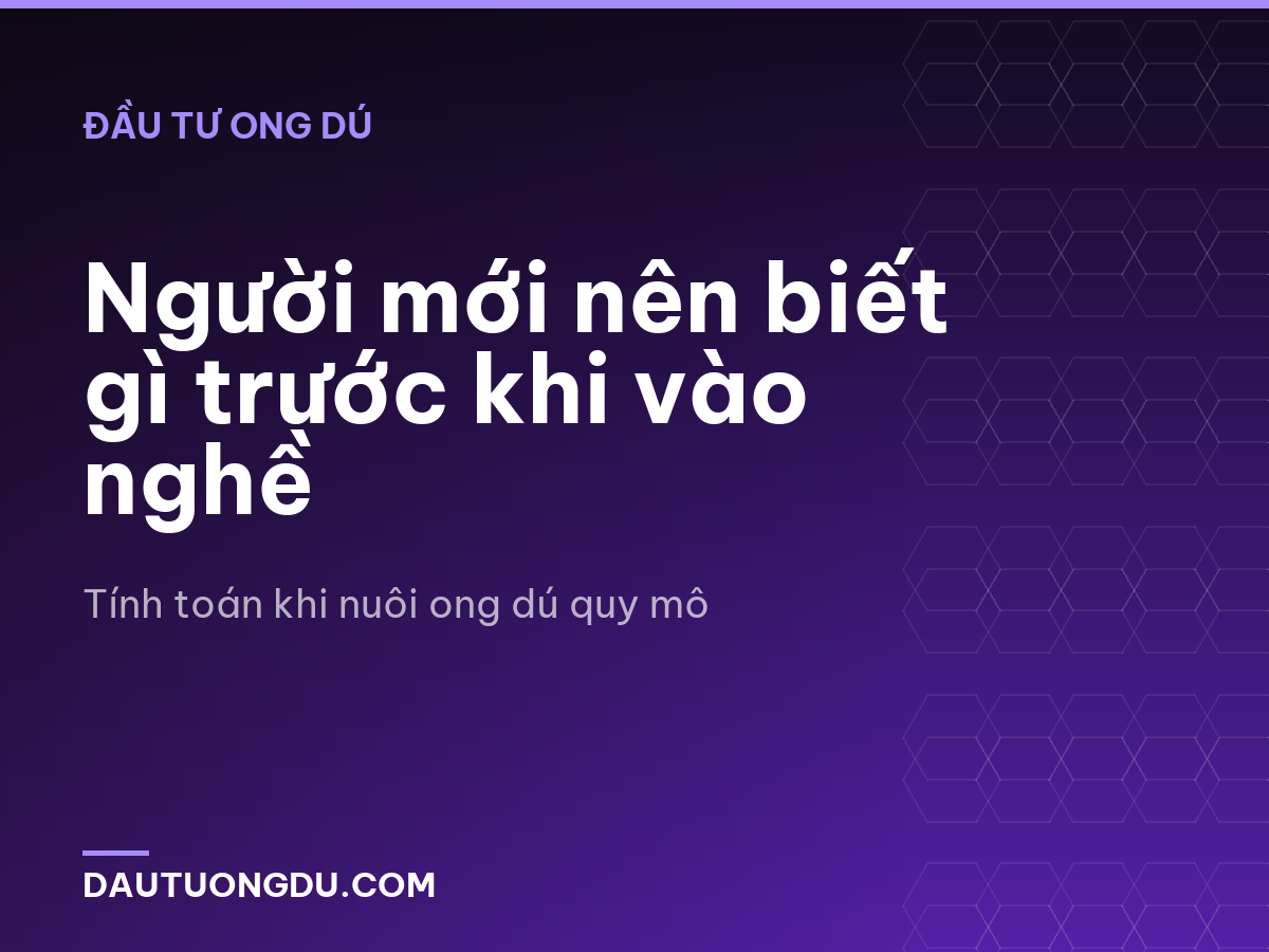 Người mới nên biết gì trước khi vào nghề